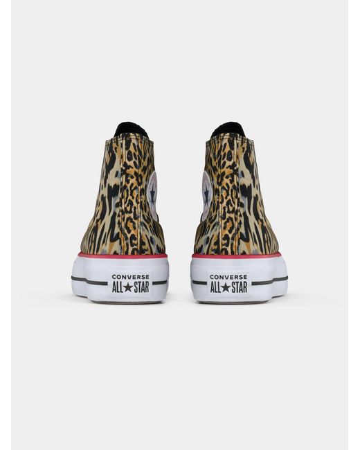 Converse Brown Sneaker Ctas