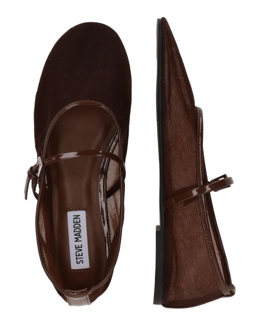 Steve Madden Brown Ballerina Mash