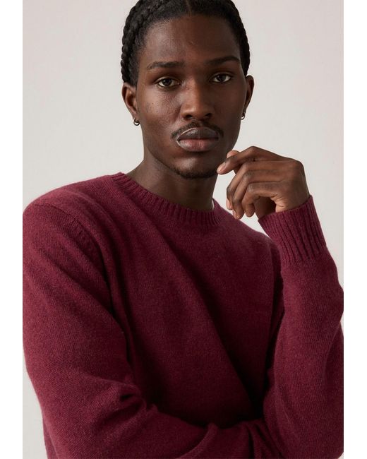 Levi's Levis Pullover in Red für Herren