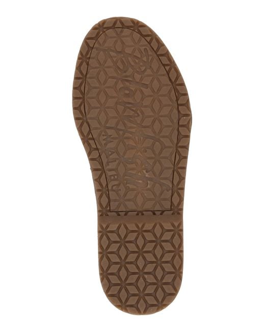 Blowfish Brown Schnürstiefelette Cade