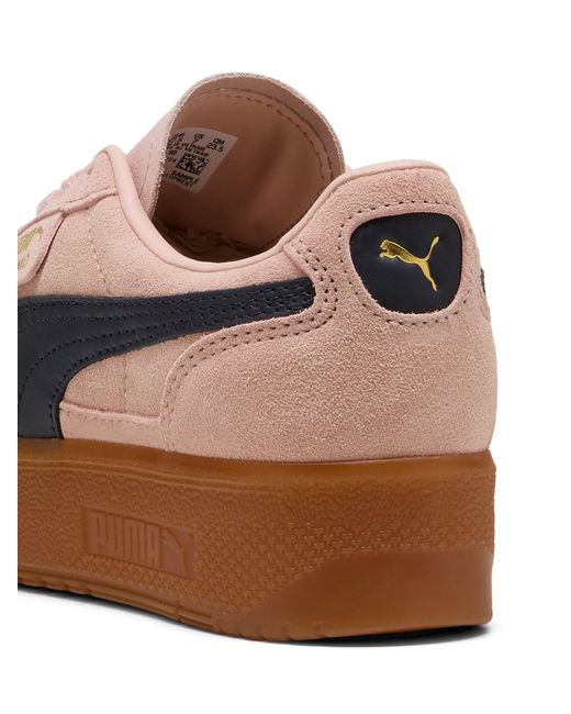 PUMA Brown Sneaker Palermo Elevata