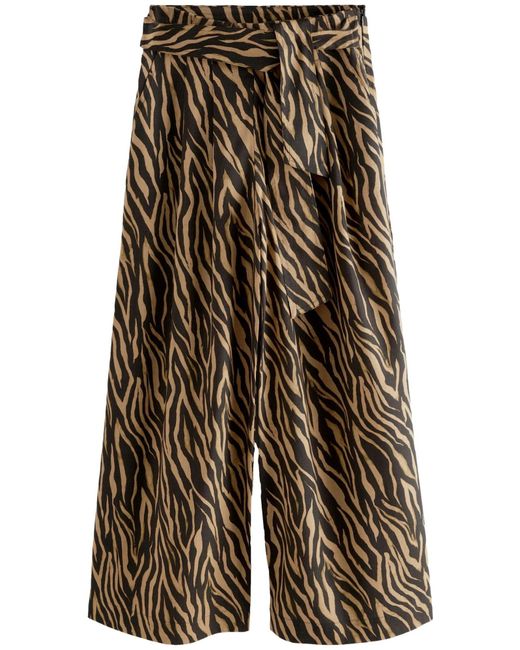 Next Multicolor Hose