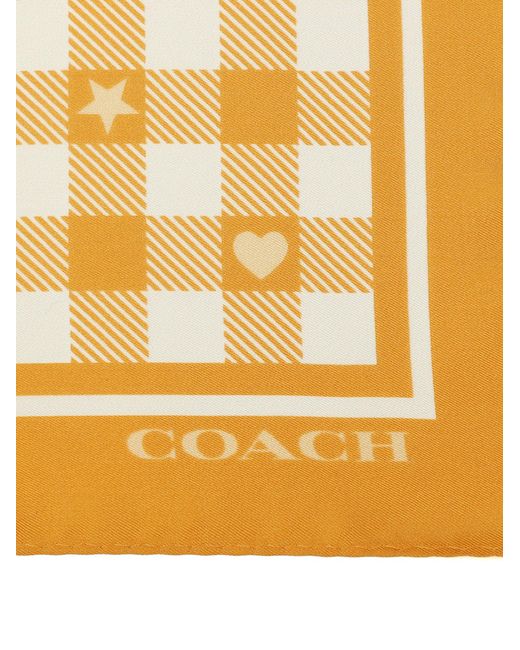 COACH Metallic Tuch
