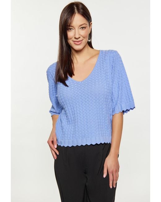 Usha Blue Pullover