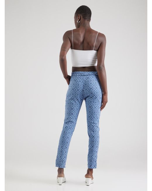 ZABAIONE Blue Hose 'Touser Ma44Iraa'
