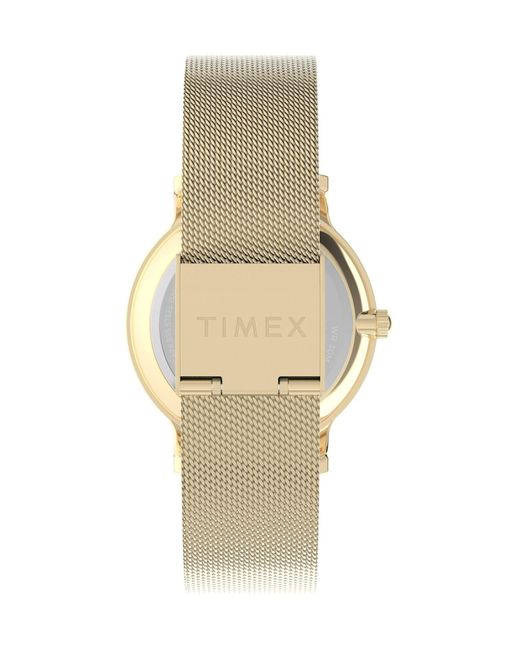 Timex Metallic Analog Watch Transcend