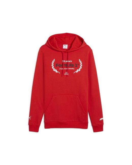 PUMA Pullover F1 Essentials in Red für Herren