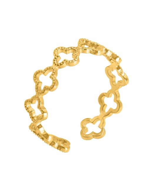 Heideman Metallic Ring Pilus