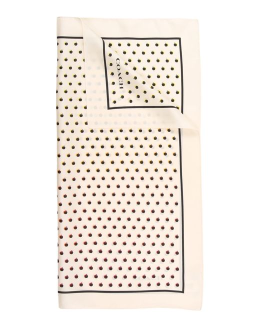 COACH Natural Tuch Apple Dot