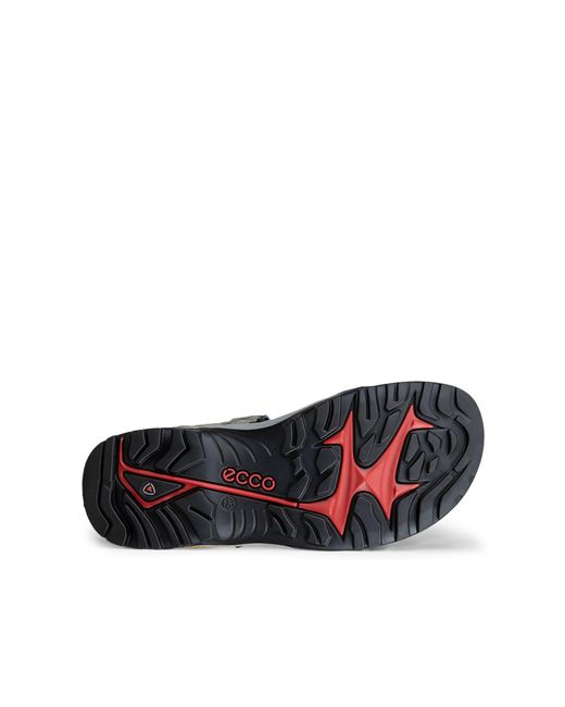 Ecco Sandale Offroad in Black für Herren