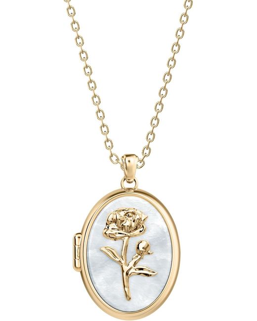 Fossil Metallic Kette