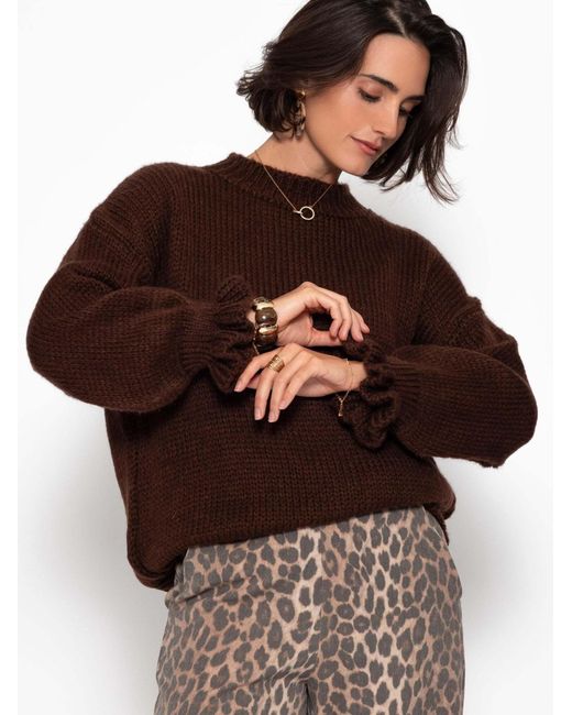SassyClassy Brown Pullover