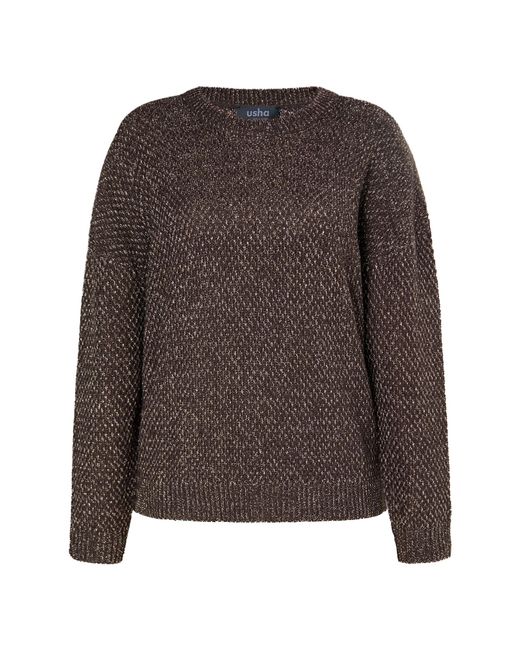 usha BLACK LABEL Brown Pullover