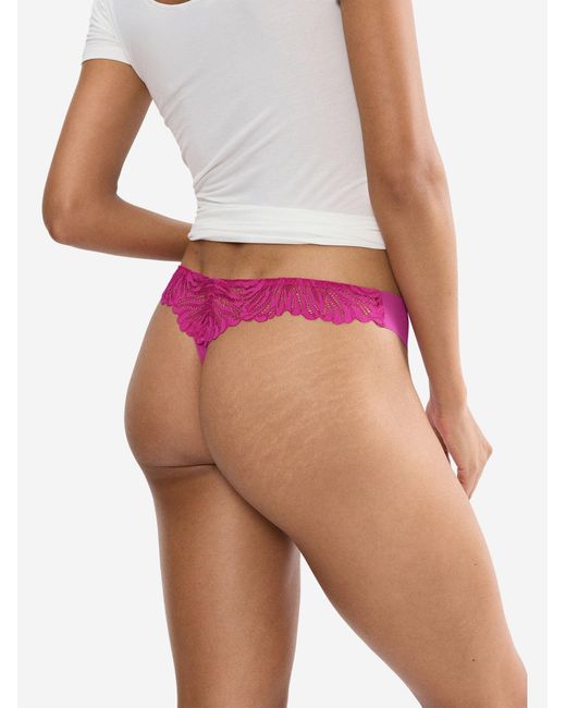 Triumph Purple String Label Pretty Micro