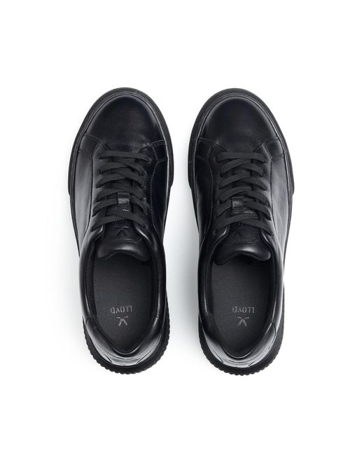 Lloyd Blue Sneaker Grace