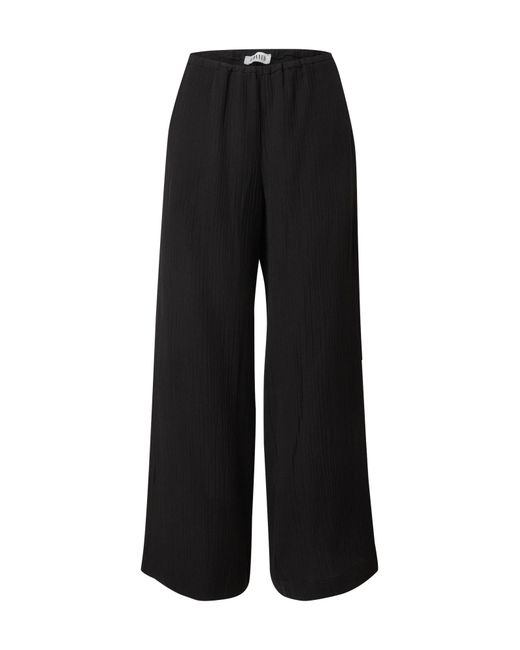 EDITED Black Hose Azalea