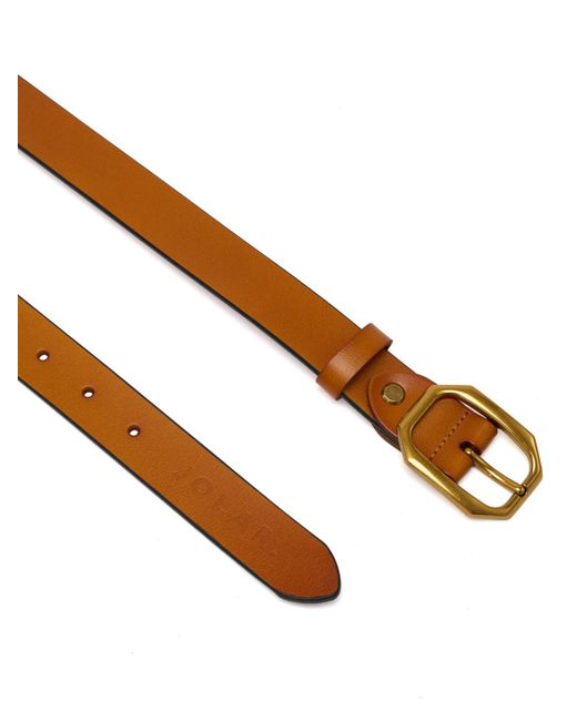 jolar Brown Gürtel Elegent