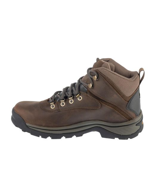 Timberland Boots Ledge Wp Mid in Brown für Herren