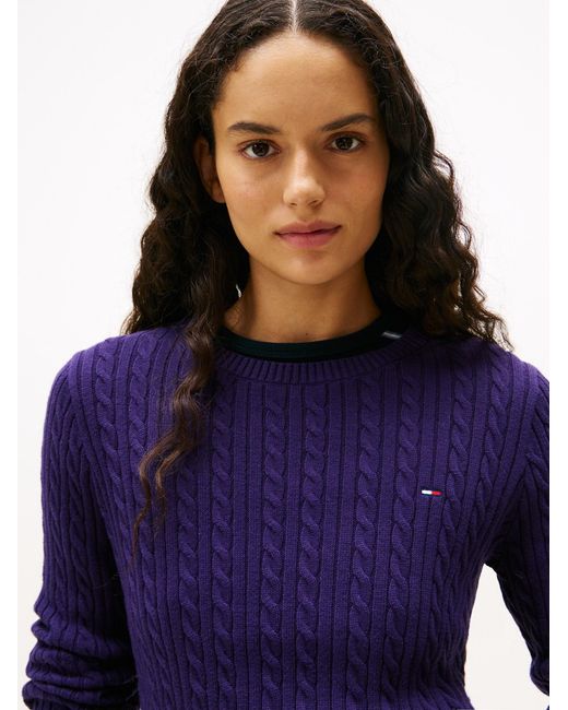 Tommy Hilfiger Blue Pullover Essential