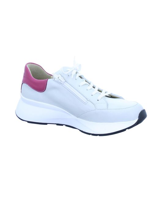 Finn Comfort Blue Sneaker Caseres
