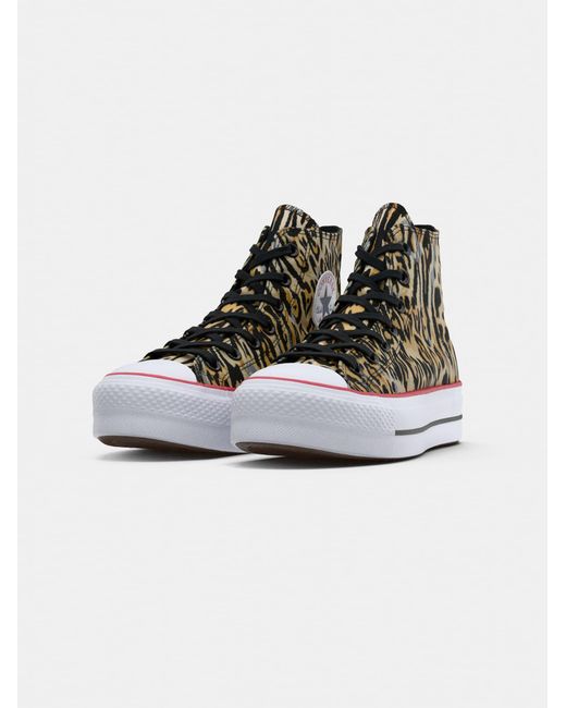 Converse Brown Sneaker Ctas