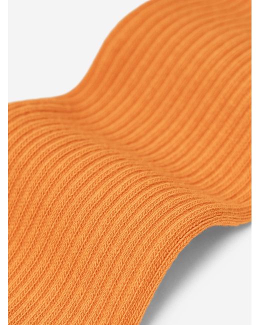 von Jungfeld Socken Einfarbige Classics in Orange für Herren