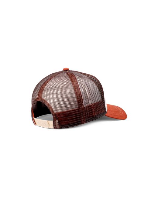 Djinn's Multicolor Cap Hft Lscc