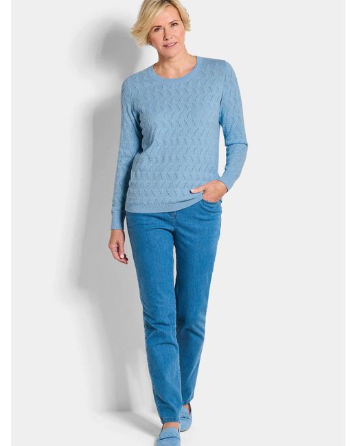 Goldner Blue Pullover
