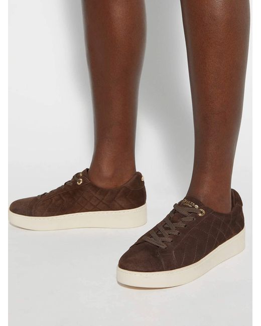 Dune Brown Sneaker Egent