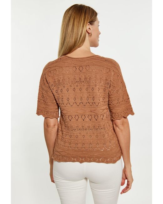Usha Brown Pullover