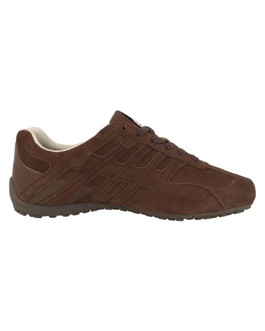 Geox Sneaker in Brown für Herren