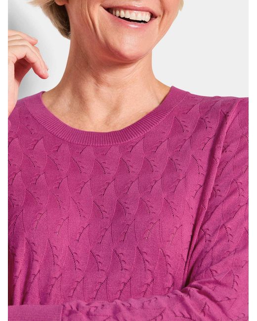 Goldner Pink Pullover