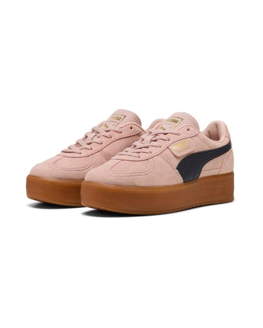 PUMA Brown Sneaker Palermo Elevata