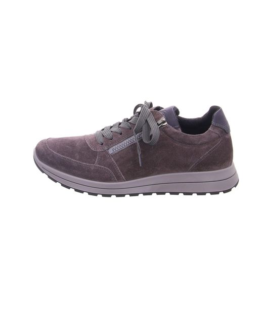 Ara Sneaker in Purple für Herren