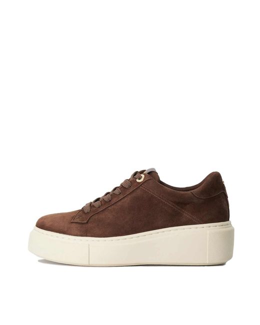 Dune Brown Sneaker Evienne