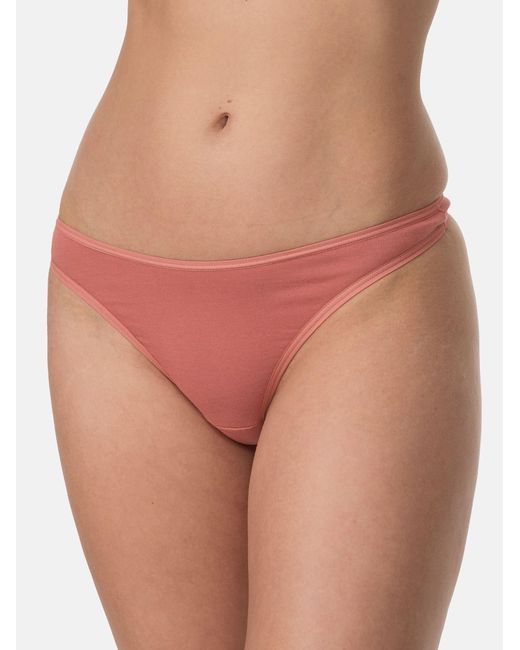 Nur die Blue String Basic