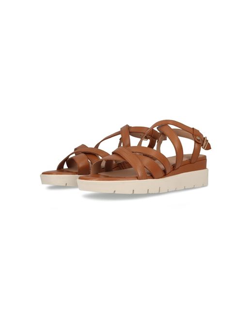 Salamander Brown Sandale