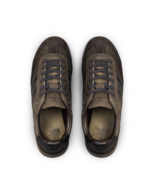 Lloyd Sneaker Brava in Brown für Herren