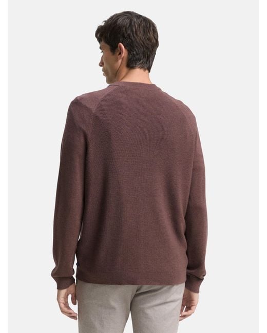 Tom Tailor Pullover in Purple für Herren