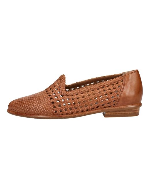 Everybody Brown Slipper