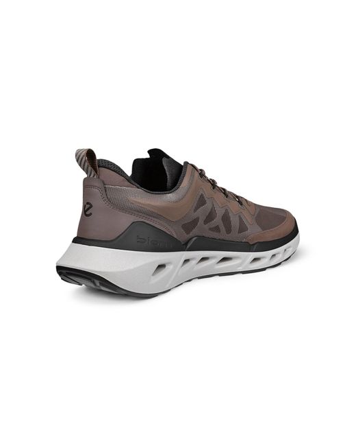 Ecco Sneaker Biom 720 in Brown für Herren
