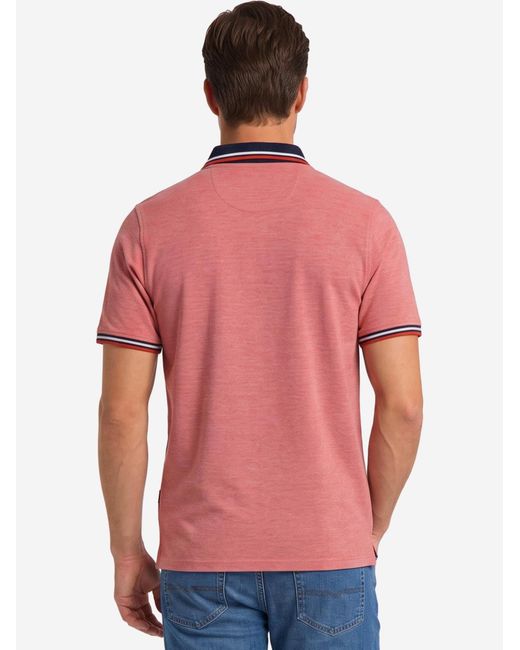 Redmond Shirt Basic in Multicolor für Herren