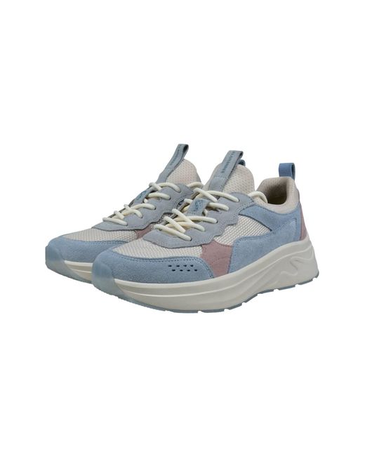 Salamander Blue Sneaker