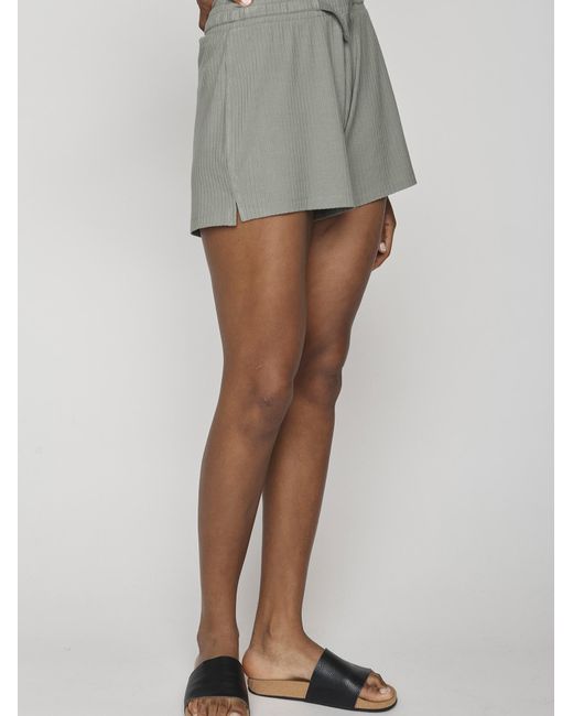 GreenBomb Gray Hose Reign Basic