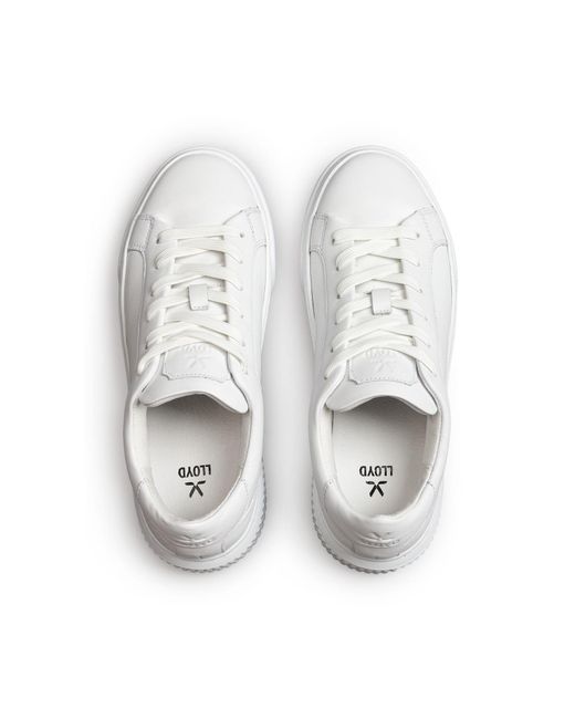Lloyd White Sneaker Modo