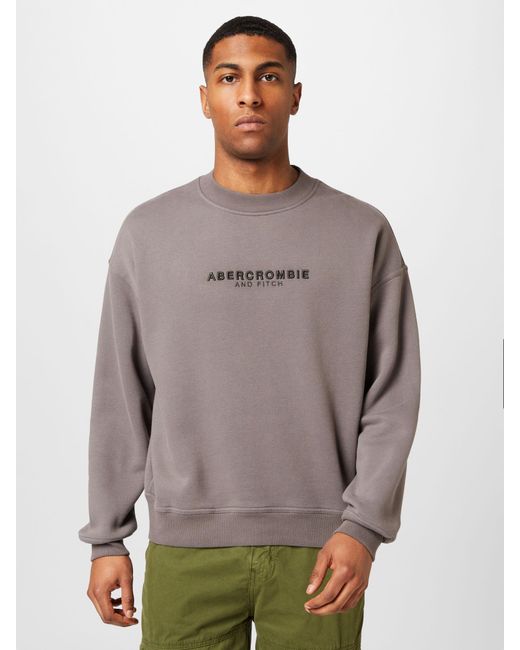 Abercrombie & Fitch Sweatshirt in Grau für Herren | Lyst DE