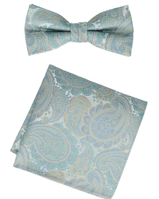 Willen Fliege Set Paisley in Blue für Herren