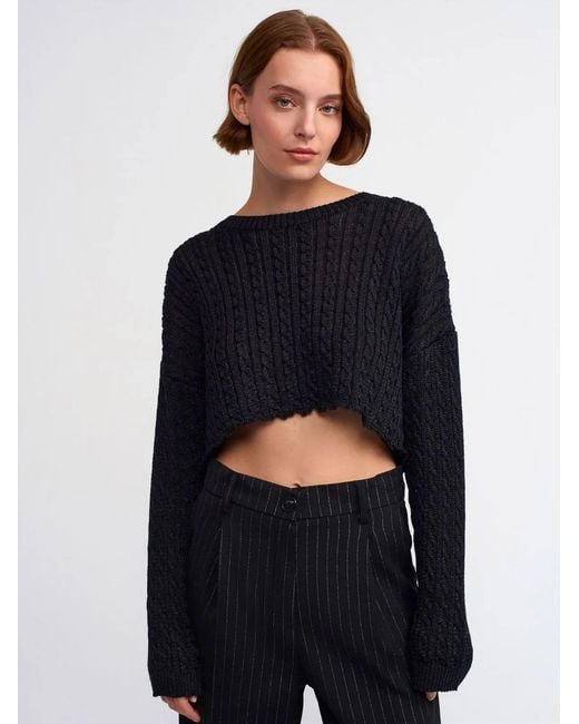 Dilvin Blue Pullover
