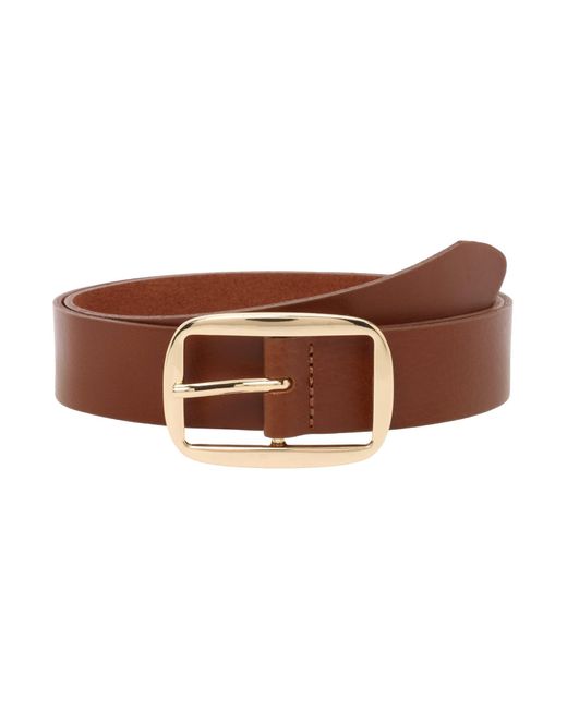 Vanzetti Brown Gürtel