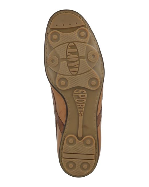 Lloyd Sneaker Vault in Brown für Herren